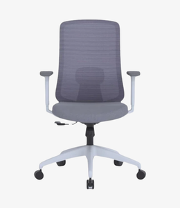 DSC-034 | Luxury Office chair