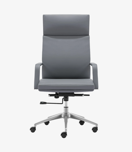 DSC-110-Ergomiate Chair