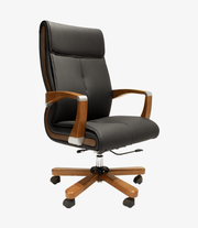 DSC-103-Elegant Chair