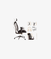 DSC-028 | Sihoo Office chair