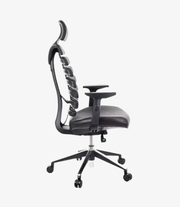 DSC-028 | Sihoo Office chair