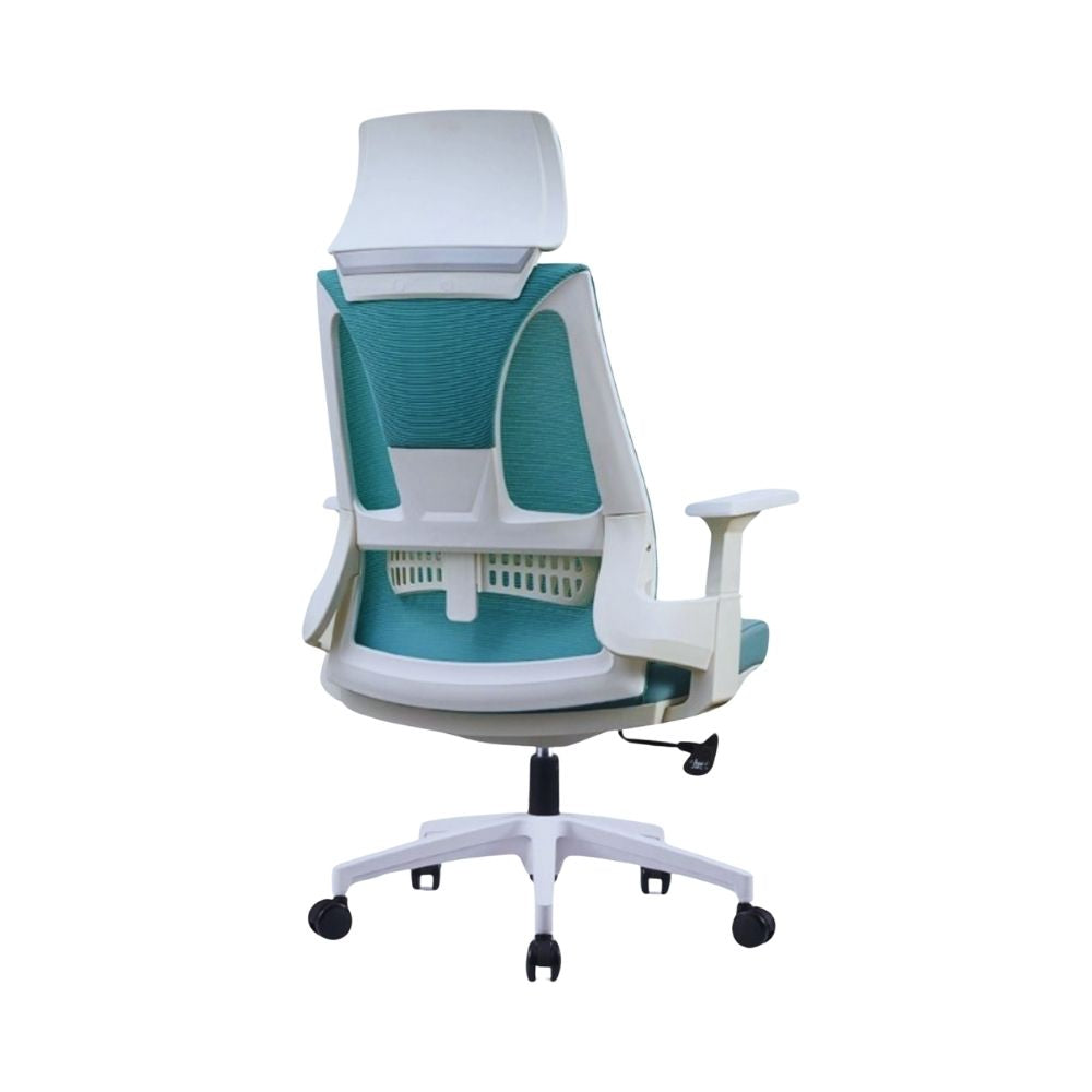 DSC-032 | Lumbar Chair