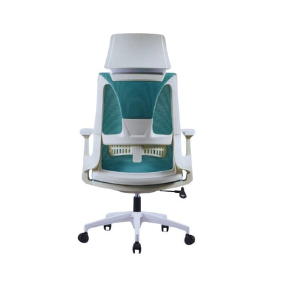 DSC-032 | Lumbar Chair