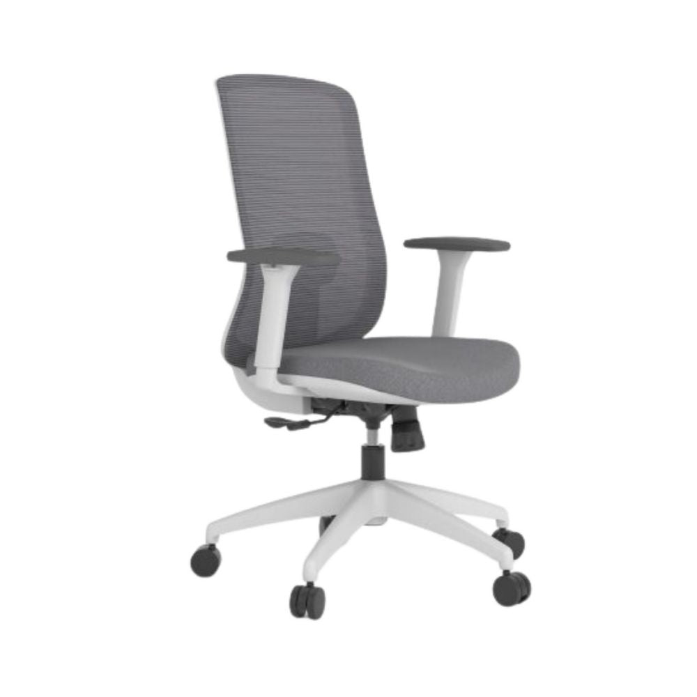 DSC-034 | Luxury Office chair